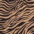 Abstract color zebra, tiger skin design. Animal skin texture seamless pattern. Royalty Free Stock Photo