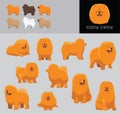 Dog Chow Chow Cartoon Vector Illustration Color Variation Set
