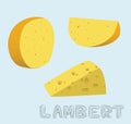 Food Cheese Type Lambert Vector Illustration