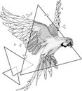 Geometric Parrot bird 001