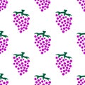 Purple grapes with green vines isolated on white background is in Seamless pattern Royalty Free Stock Photo