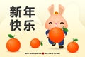 Happy Chinese New Year 2023 greeting card the year of the rabbit, Little rabbit bunny holding mandarin orange, Cartoon poster Royalty Free Stock Photo
