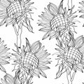 Sunflowers field seamless pattern for fabric textile design. Easy to print. Line art black white wildflowers. Royalty Free Stock Photo