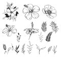 Floral vector composition hand drawn black ink sketch style