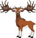 Cartoon Irish elk on white background