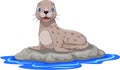 Cartoon sea lion on the rock Royalty Free Stock Photo