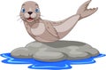 Cartoon sea lion on the rock Royalty Free Stock Photo