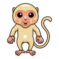Cute little albino monkey cartoon standing