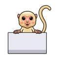 Cute little albino monkey cartoon with blank sign