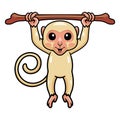 Cute little albino monkey cartoon hanging on tree branch