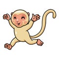 Cute little albino monkey cartoon running