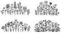 Hand drawn botanical flowers, meadow, spring flowers. Vector illustration. Royalty Free Stock Photo