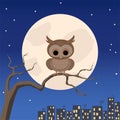 Cute owlet on a tree branch on a full moon away from the city light.