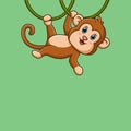 Cute monkey hanging on liana. Cartoon character Chimpanzee isolated