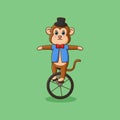 Cute monkey circus riding a bicycle