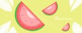 Summer banner with slices of watermelon, white leaves and line