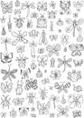 Insects coloring page