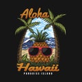 Aloha hawaii pineapple eyeglasses vector illustration