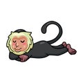 Cute little capuchin monkey cartoon sleeping