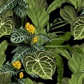 Bright seamless pattern with tropical flowers and leaves. Realistic style, hand drawn.