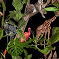 Tropical wild animals, ibis bird, zebra, giraffe, leopard jaguar Savannah cat sleeping on a tree and palm trees, banana tree.