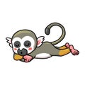 Cute little squirrel monkey cartoon sleeping