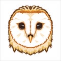 Barn Owl face vector illustration in decorative style