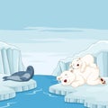 Cartoon mother and baby polar bear sleeps with seal in arctic background Royalty Free Stock Photo