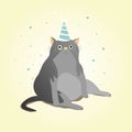 greeting card. a cute fat gray cat in a white and blue festive cap sits on the floor Royalty Free Stock Photo