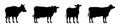 cow silhouette in field eating grass. Vector cow icon or logo for farm store or market