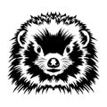 Hedgehog face vector iilustration in hand drawn style