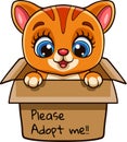 Cute cat cartoon in present gift box with text adopt me please Royalty Free Stock Photo