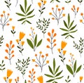 Print. Seamless botanical background of delicate wildflowers. Field plants, berries. Vector floral pattern.