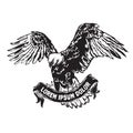 Bald Eagle flying vector illustration in vintage hand drawn style Royalty Free Stock Photo