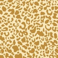 Jaguar or leopard skin pattern, seamless texture. Cheetah animal print for textile design. Vector Royalty Free Stock Photo