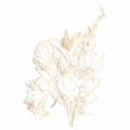 Decorative golden peony, lily, gladiolus flowers, design elements.