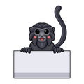 Cute goeldi`s monkey cartoon holding blank sign Royalty Free Stock Photo