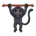 Cute goeldi`s monkey cartoon hanging on tree