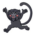 Cute goeldi`s monkey cartoon running