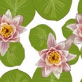Lake with lotus, water lily with leaves. Water lily flowers. Aquatic plants, Japanese and Chinese illustration. Royalty Free Stock Photo