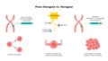Proto Oncogenes vs Oncogene vector illustration diagram