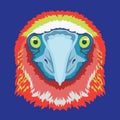 blue footed booby bird face vector illustration in decorative style design Royalty Free Stock Photo