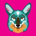 Cute Coyote face vector illustration in colorful decorative style