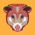 Opposum face vector illustration in cute cartoon style design Royalty Free Stock Photo
