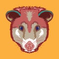 Opposum face vector illustration in cute cartoon style design Royalty Free Stock Photo