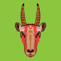 Saiga antelope face vector illustration in decorative style design