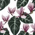 Seamless floral pattern with tropical magnolia flowers with exotic leaves on white background Royalty Free Stock Photo