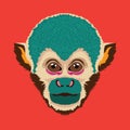 Squirel Monkey face vector illustration in decorative cartoon style design