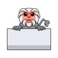 Cute little hamadryad monkey cartoon holding blank sign