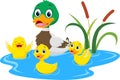 Happy Duck family cartoon isolated on white background Royalty Free Stock Photo